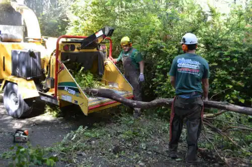 tree services Alexander City